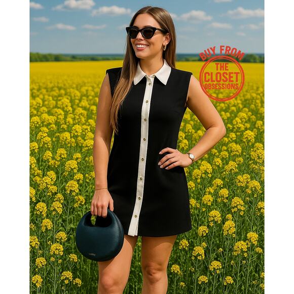 ZARA Blogger Favorite Contrast Lapel Mini Dress NWT – Black & White, Size M & L - Picture 3 of 16